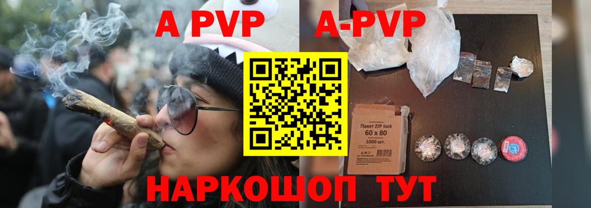 Alpha PVP СК КРИС  Альфа ПВП СК КРИС  Елизово  A-PVP  Вход с VPN 