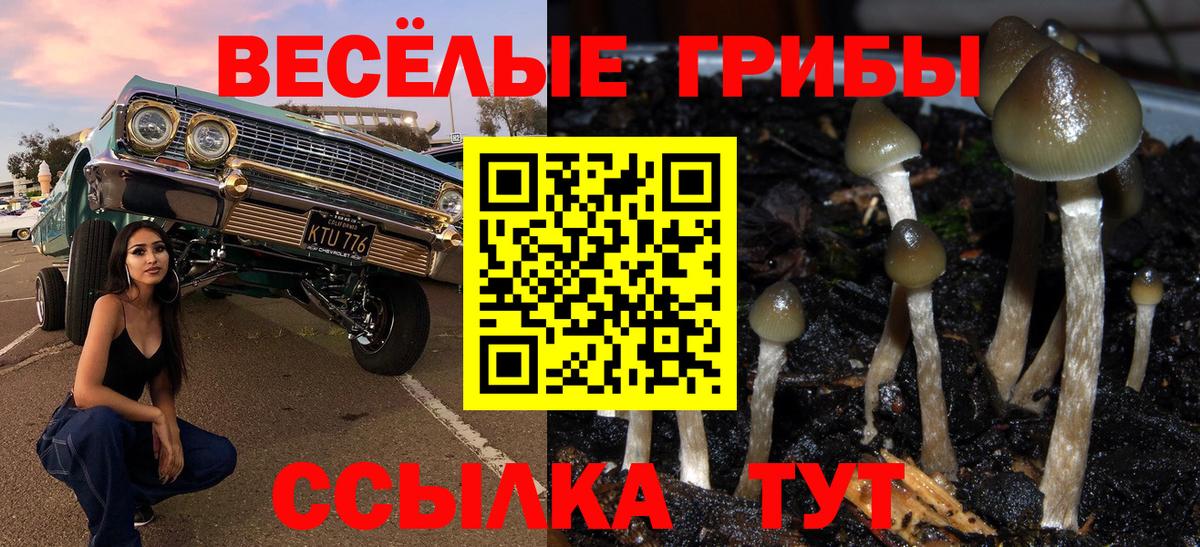 Елизово  Псилоцибиновые грибы GOLDEN TEACHER  Галлюциногенные грибы Cubensis  Вход с VPN 